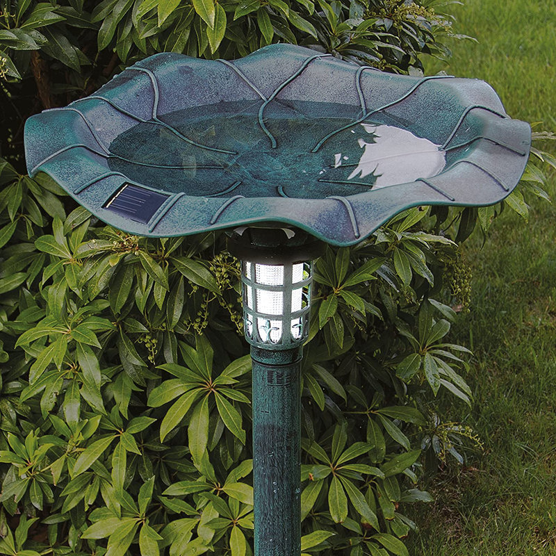 Plastic / Acrylic Single Tier Birdbath