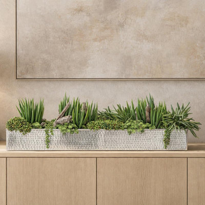 12"Hx10"Wx41"L Senecio/Succulent/Sedum In Aluminum Rectangular Planter