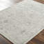 Grey Traditional Rug, Bordered Floral Easy to Clean Rug For Living Room, Dining Room, Bedroom, Kitchen-534768380