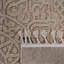 Tapis intérieur / extérieur beige / médaillon Collection-1000152201