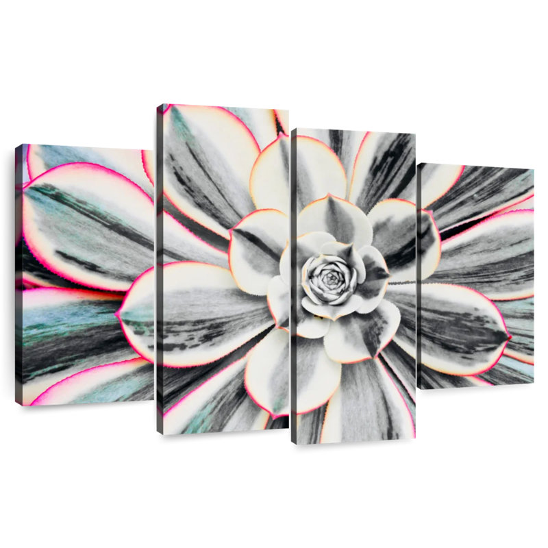 Succulent fluorescent Harnek