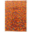 Tapis orange Nunez