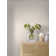 Borastapeter Fresh Air Wallpaper | Wayfair