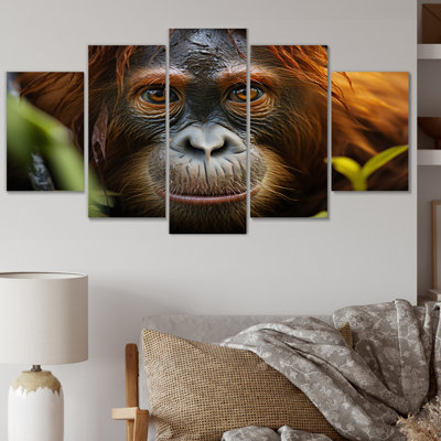 Orang-outan Photo Portrait - Reproduction d'art mural animaux - 5 panneaux