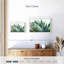 Agave vibrant-790152162-790151706