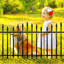 Gothic Arch Garden Fence with Gate, 5 Pack, No-Dig, Black-1745317325-1745317361