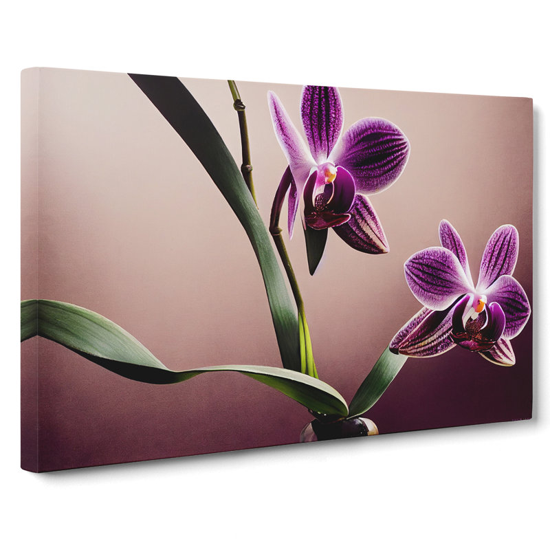 Bright Orchid Flowers - Wrapped Canvas, 35cm H x 50cm W x 3cm D