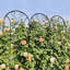 Treillis polyvalent en métal pour les jardins extérieurs, améliorant la croissance des plantes