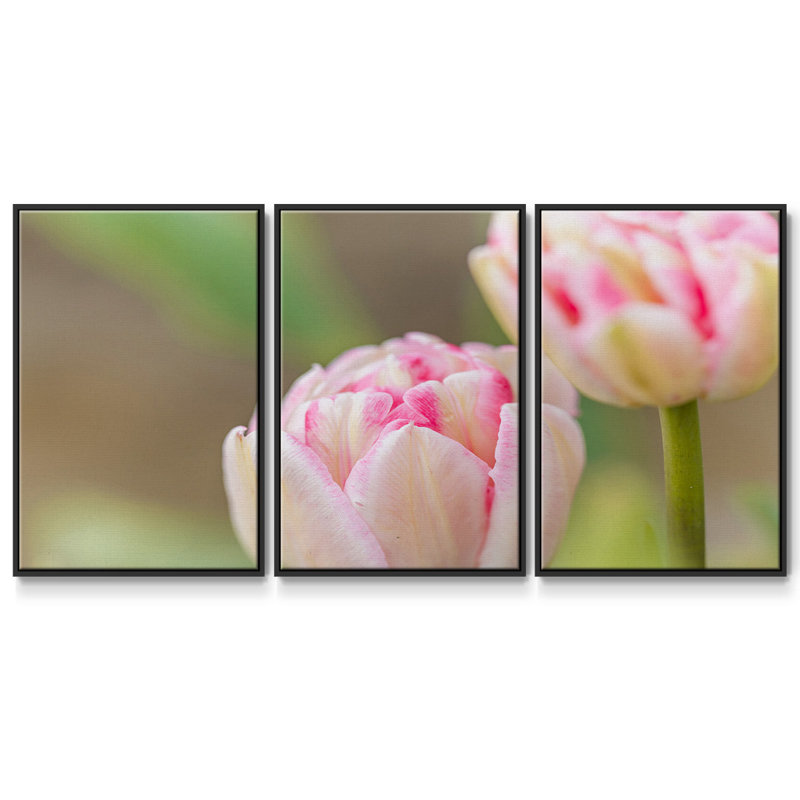 " Blush " 3 - Pieces, Black, 24" H x 48" W x 2" D