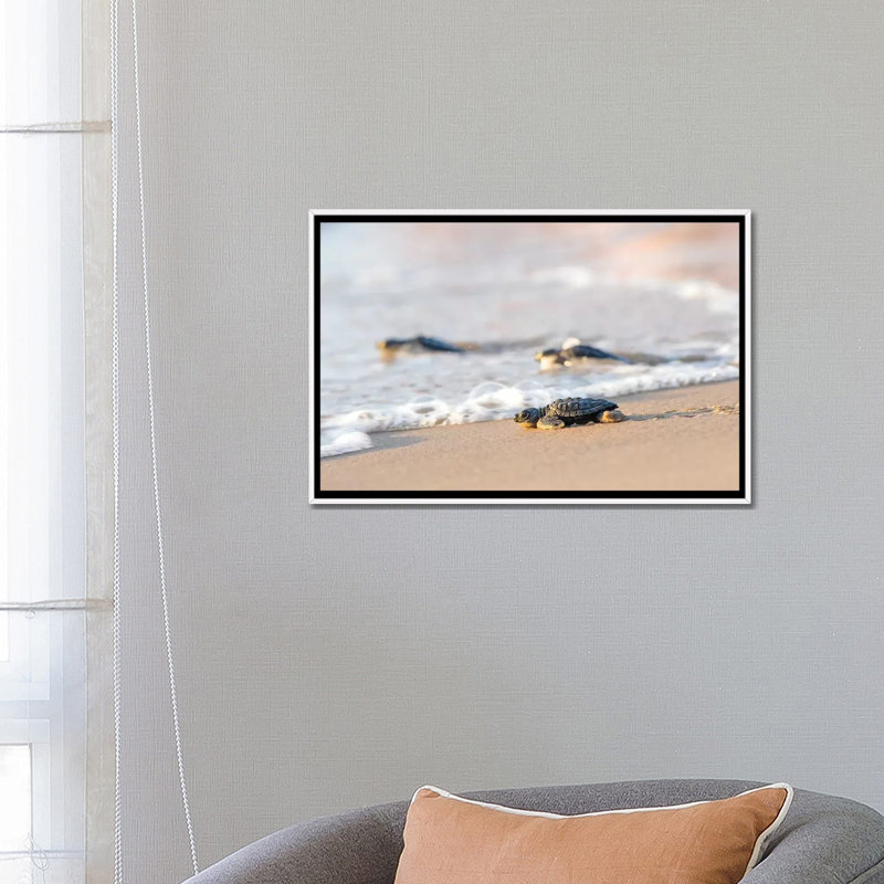 Reproduction de photo « Ridley’s Ridley I » par Larry Idem, Pas de tapis, H 18 po x l 26 po x P 1,5 po