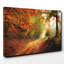 Fall Woodland Forest - Wrapped Canvas-19040227