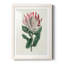 Protea N13 - Peinture encadrée-841114260-841114261