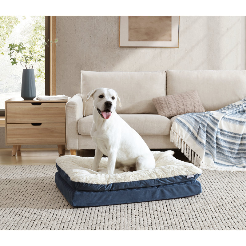 Lit orthopédique pour animaux Archie & Oscar ™ Home & Pet, H 7 po x l 30 po x P 20 po, Bleu