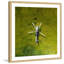 Single Picture Frame Print-246606703