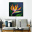 Fleur exotique d'oiseau du paradis sur toile-250156344