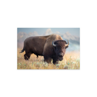 " Teton Bison " by Patsy Weingart
