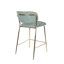 Jolien 26'' Counter Stool-1619394349-1619394337