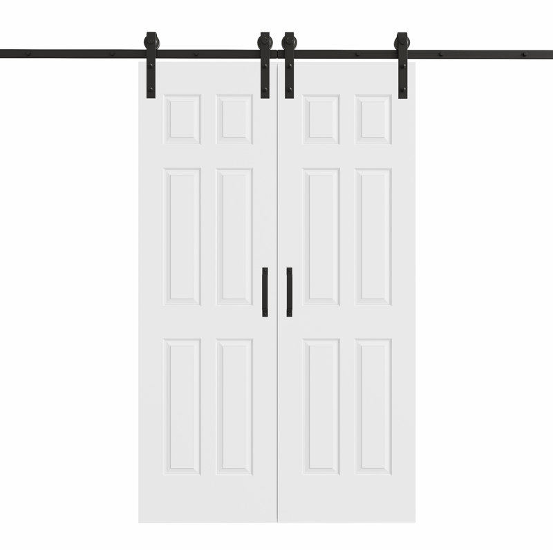 Porte de grange coulissante en bois 80 pi avec 80 po, 48 po x 80 po