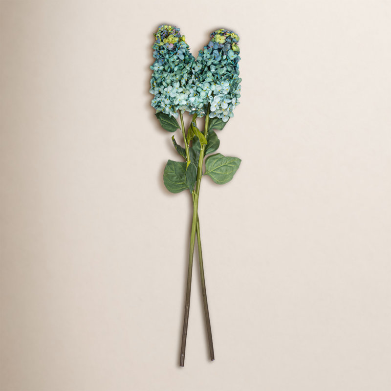 Tige d'Hortensia Milnor, Blue