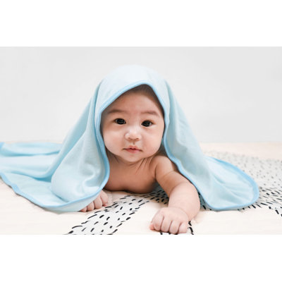 Getchell Asian Baby - Wrapped Canvas Print