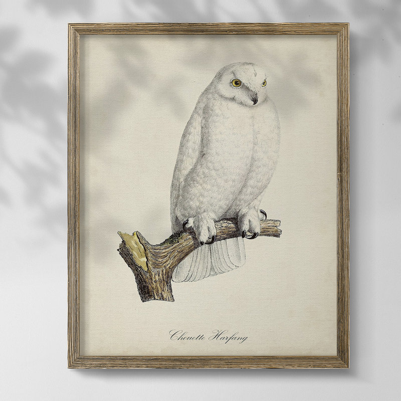 Rising Above IV, Toile avec cadre noyer, Non, Aucune couleur de tapis