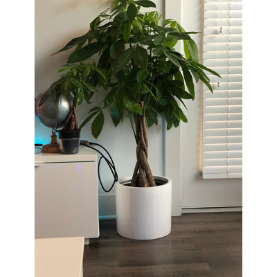 Blumfeldt Planter Cachepot Fiber Stone In/Outdoor