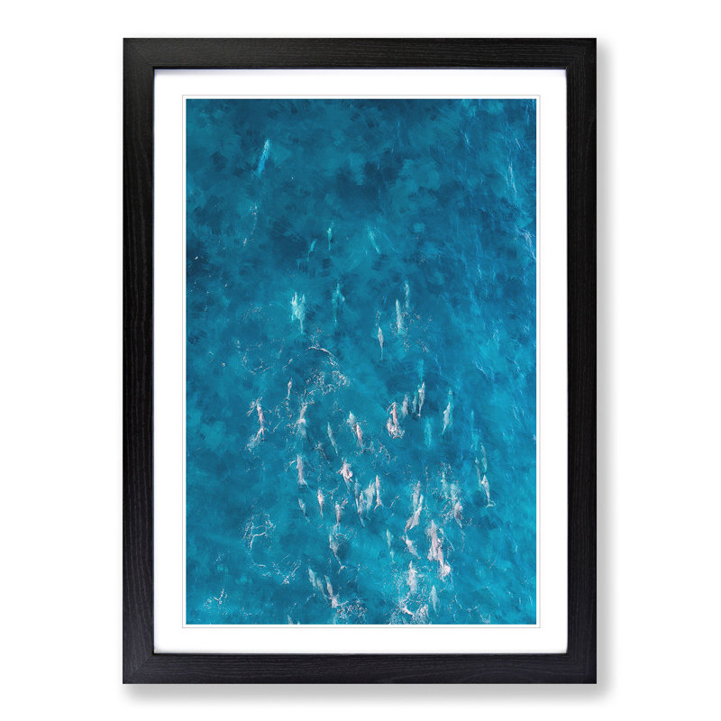 Many Dolphin - Picture Frame Painting Print, 33cm H x 24cm W x 2cm D, Black Framed