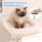 Fanka Cat Tree-1179943494-1179943514
