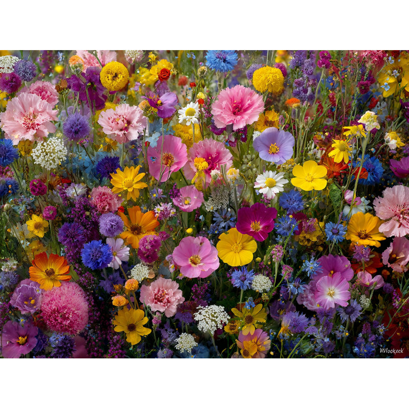 «Gentle Bloom», art mural sur toile tendue, H 30 po x l 30 po x P 1,5 po