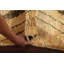 Rampaal One-of-a-Kind Area Rug Gold