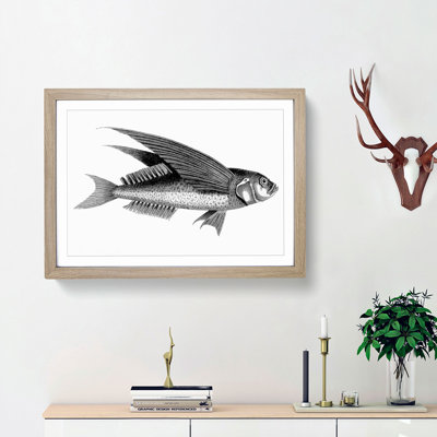 Oceanic Flying Fish in Black & White by George Shaw - Framed Print