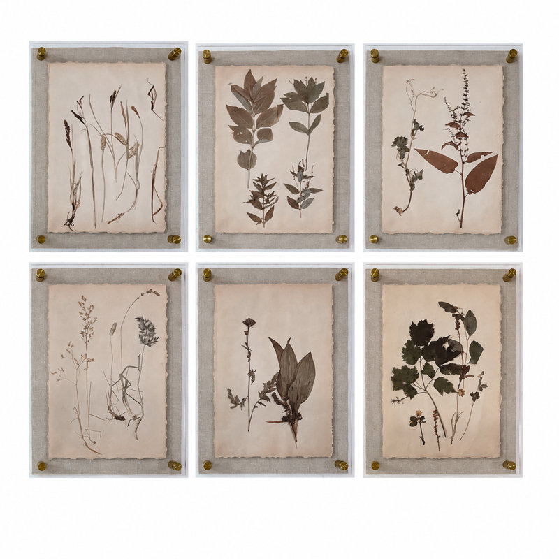 Gallery Framed Dried Botanical Prints - Set of 6