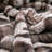 Knitted Throw Blanket-1561716119