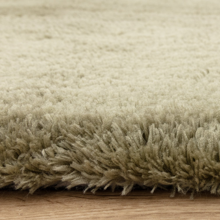 Tachiana Hand Tufted Shaggy Sage Area Rug