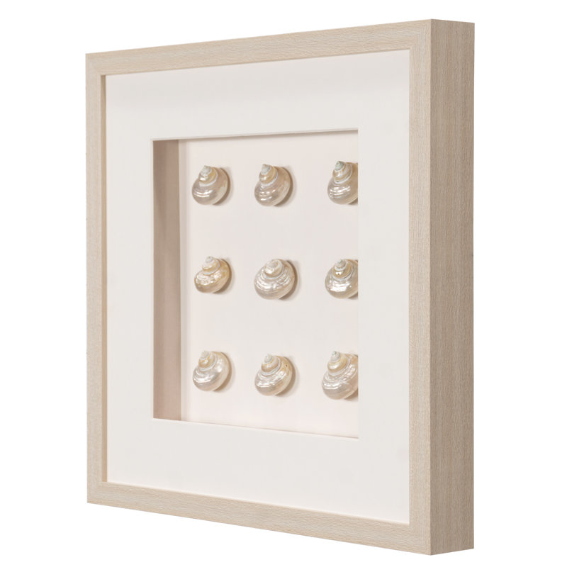 Décoration murale collection Seashell