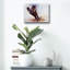 «Horse s'amusant» par Robert Campbell-101618252