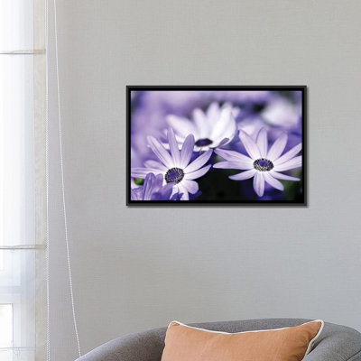 Fleurs mauves par PhotoINC Studio - reproduction de photo sur toile tendue