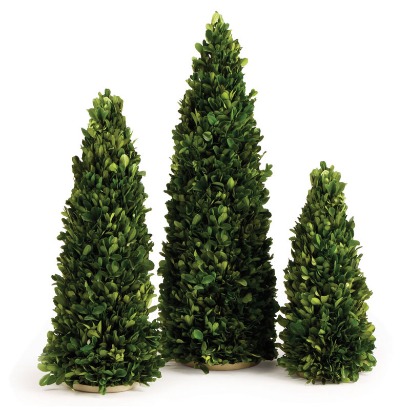 High Cone Topiary