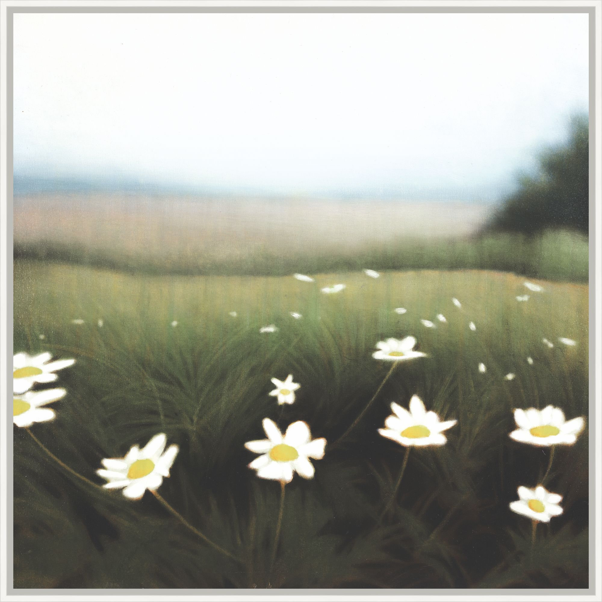 Daisy Rint Art House Studios Wild Daisies 1 Framed Art Print | Perigold
