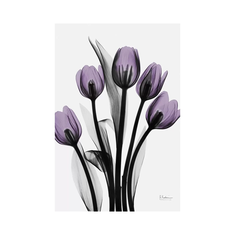 Five Tulips, 66.04 cm H x 45.72 cm W x 3.175 cm D