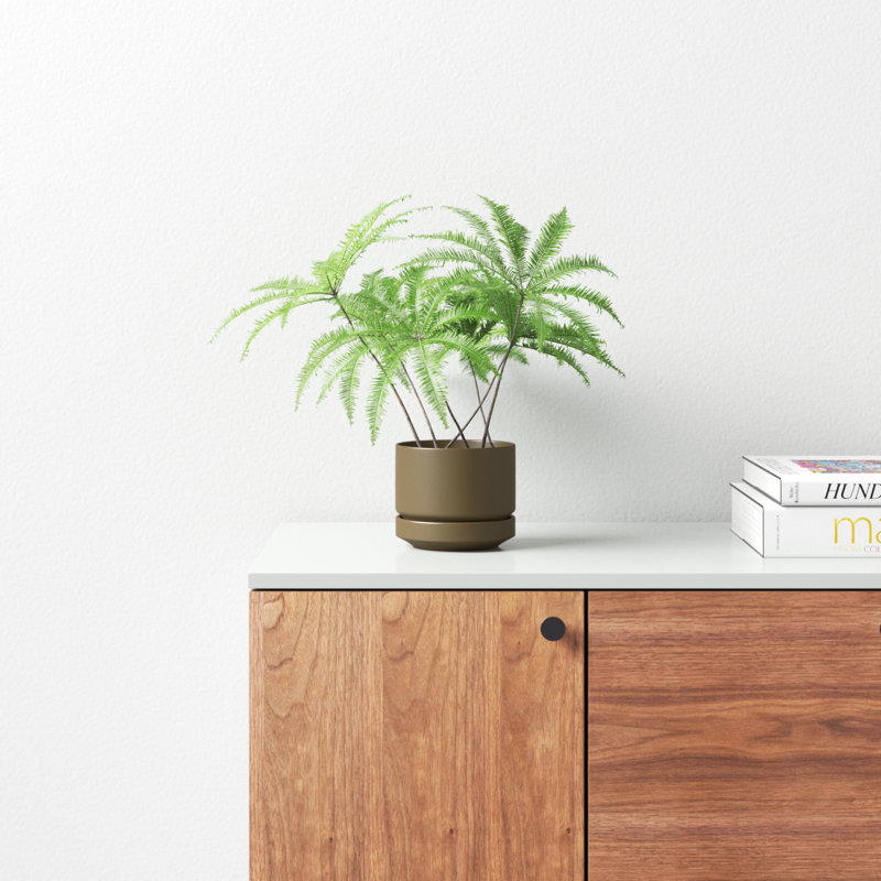 Byer Handmade Ceramic Pot Planter, 4.25" H x 5" W x 5" D, Olive