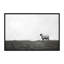 Photographie « islay ovin ii »-43719470-43719464