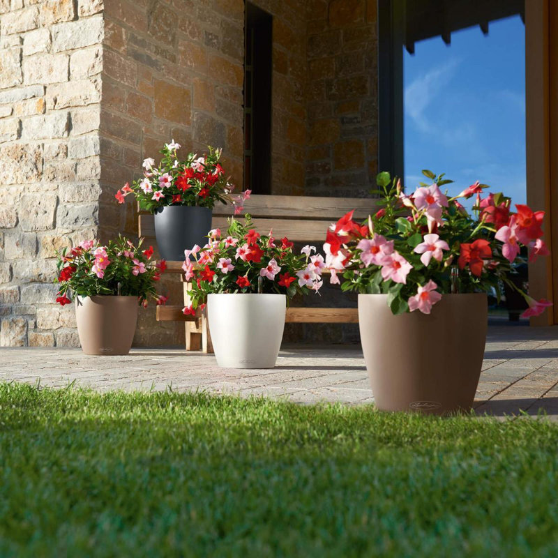 Classico Pot Planter, Nutmeg, 26cm H x 27.5cm W x 27.5cm D