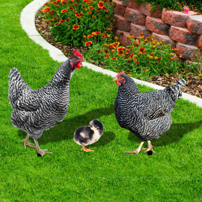 Poultry Yard Garden Decoration, Yard Decor Garden Statue Farm Style Animals Shape Decor, Home Backyard Lawns Scape