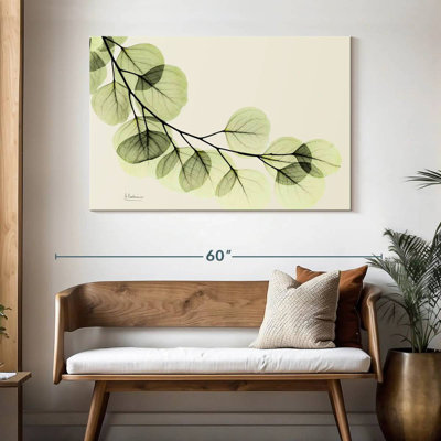 Mint Eucalyptus