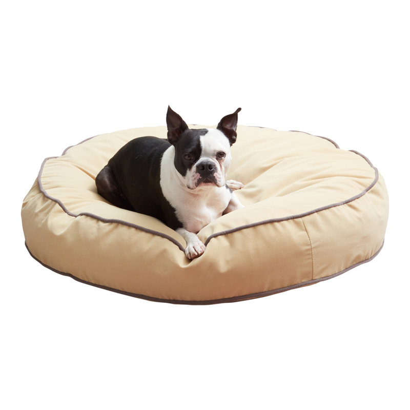 Lit pour chien Buckhead, Moyen (l 36 po x P 36 po x H 6 po), Crème au beurre