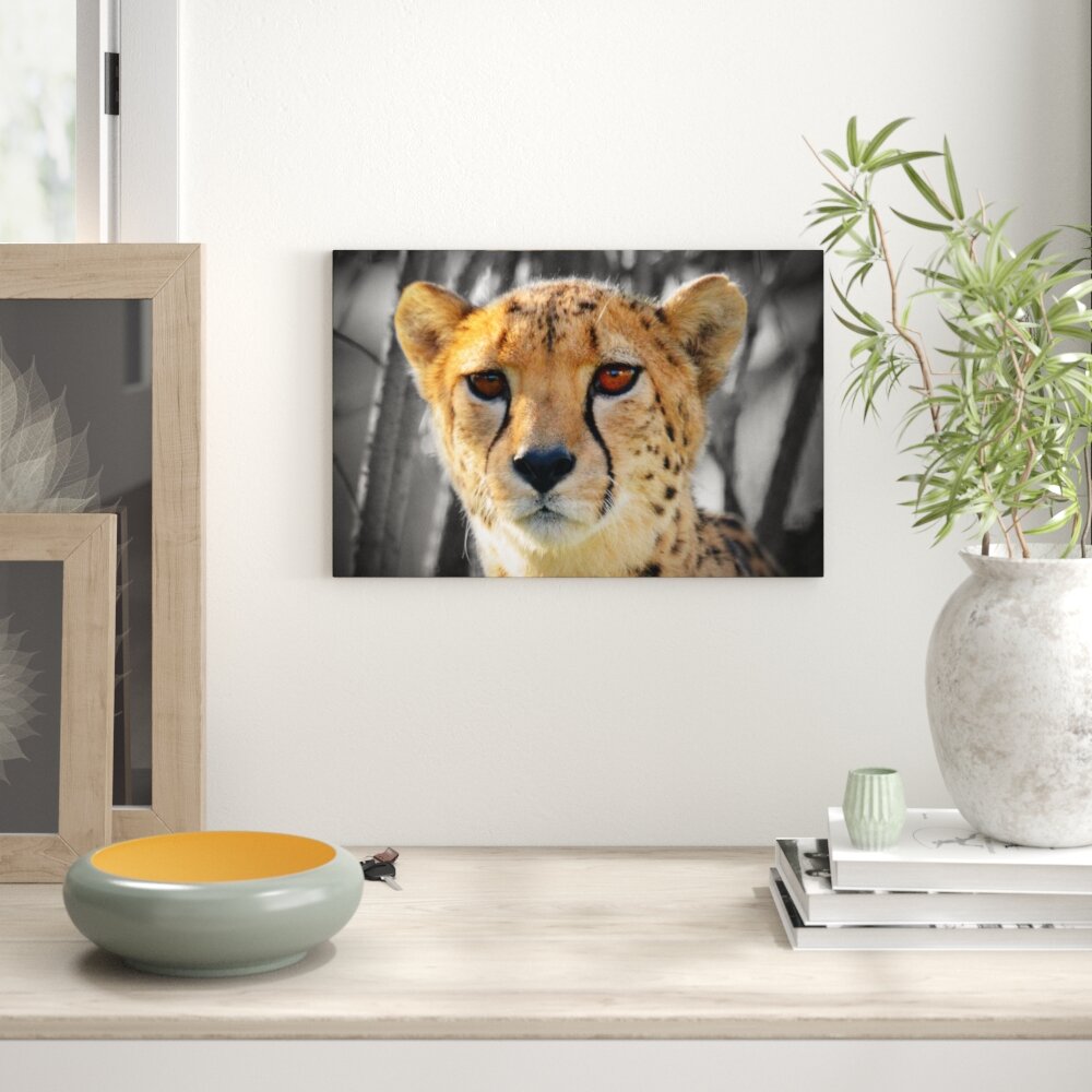 Leinwandbild „Beautiful cheetah in the jungle" von snapperglenn, Grafikdruck