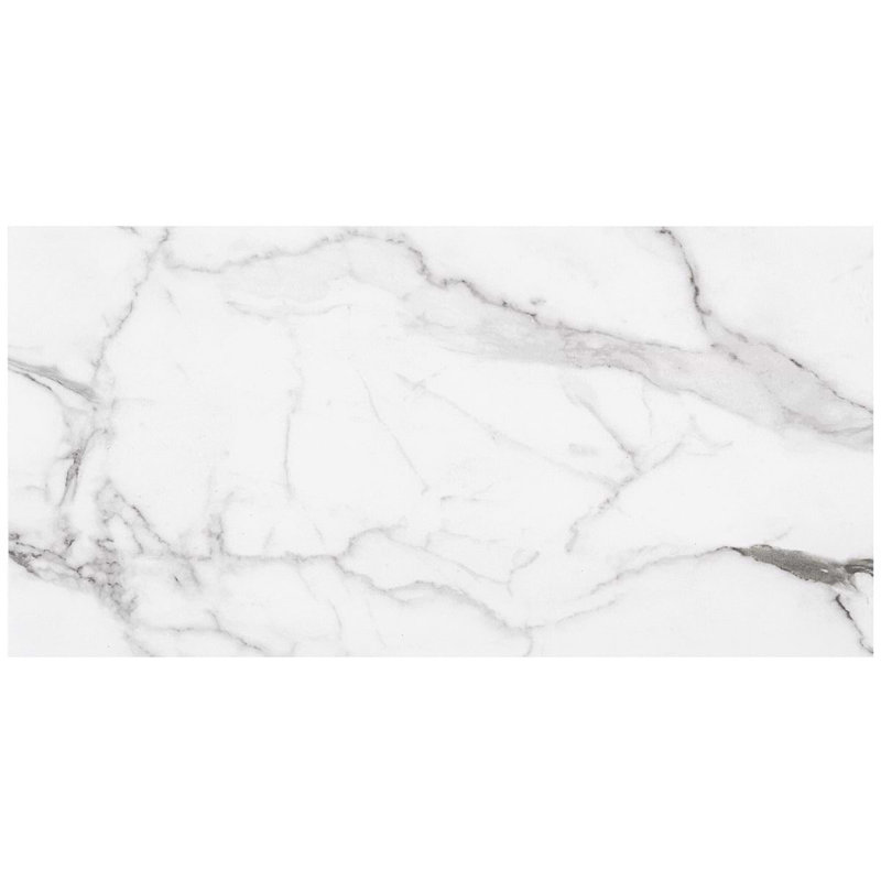 Dreamstone 12X24 Matte Porcelain Tile, Statuario Venato Matte