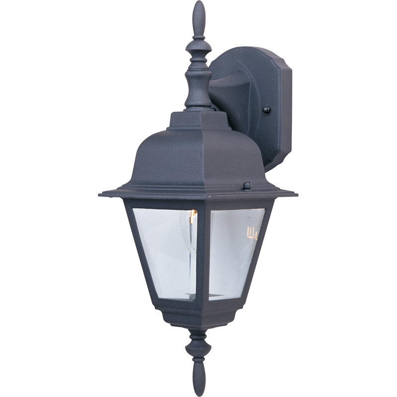 Lanterne murale d'extérieur 1 lumière Allegan, Noir