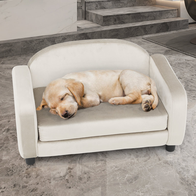 Canapé pour animal de compagnie avec coussin amovible pour petit chien moyen, Blanc perle